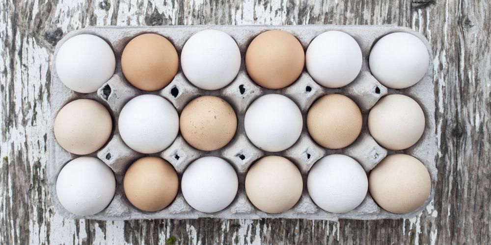 telur ayam kampung vs telur ayam biasa